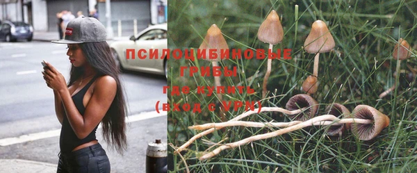 спайс Белоозёрский