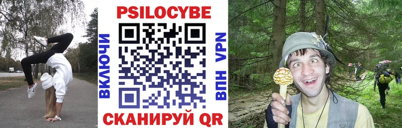 Псилоцибиновые грибы прущие грибы ОМГ ОМГ вход Южа